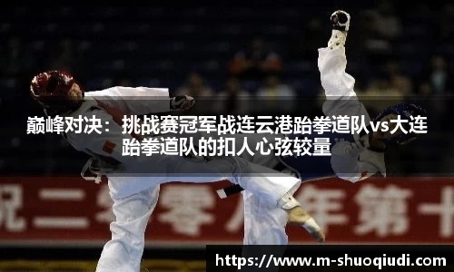 巅峰对决:挑战赛冠军战连云港跆拳道队vs大连跆拳道队的扣人心弦较量